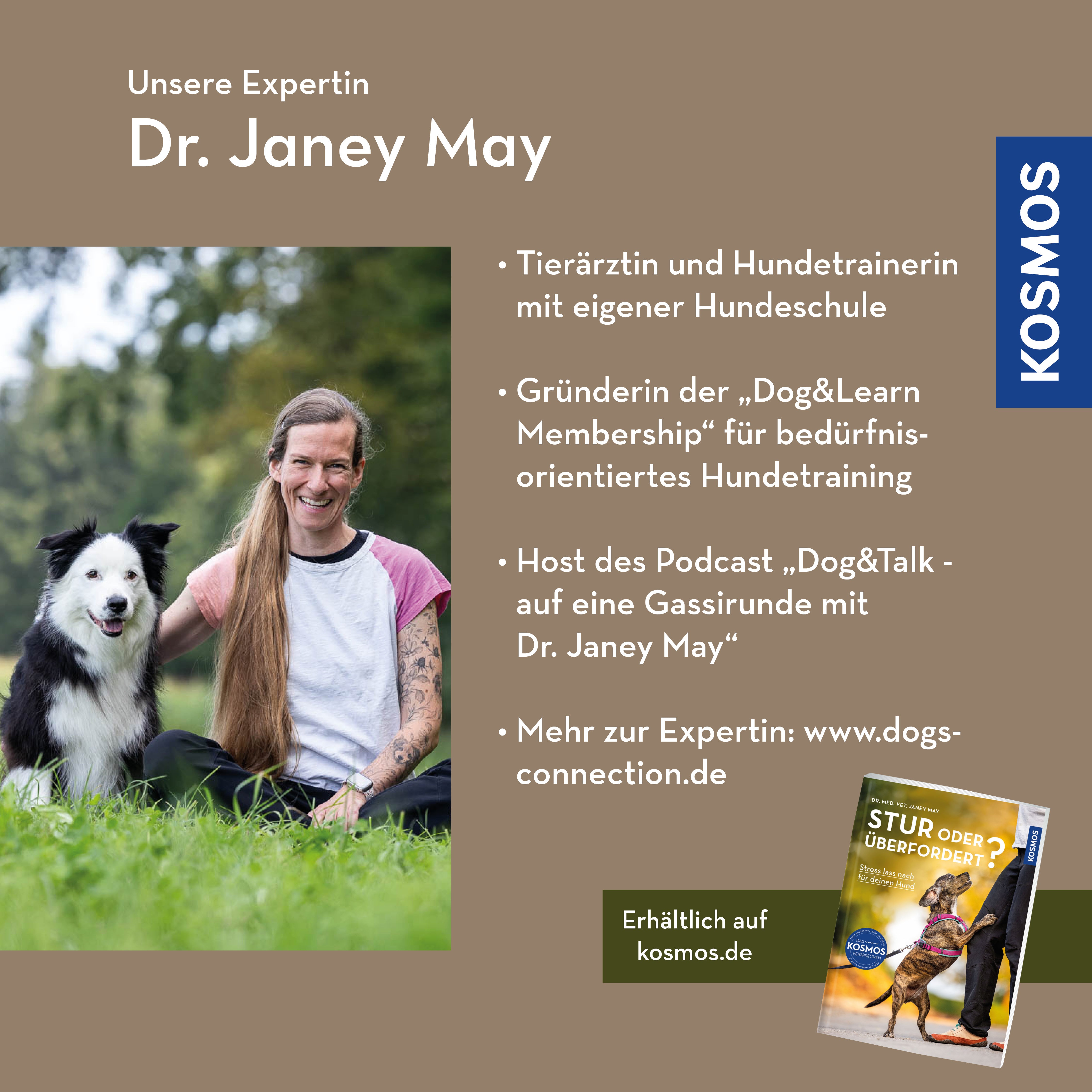 zwischen-reiz-reaktion-hund-stress-webinar-live-janey-may image 2
