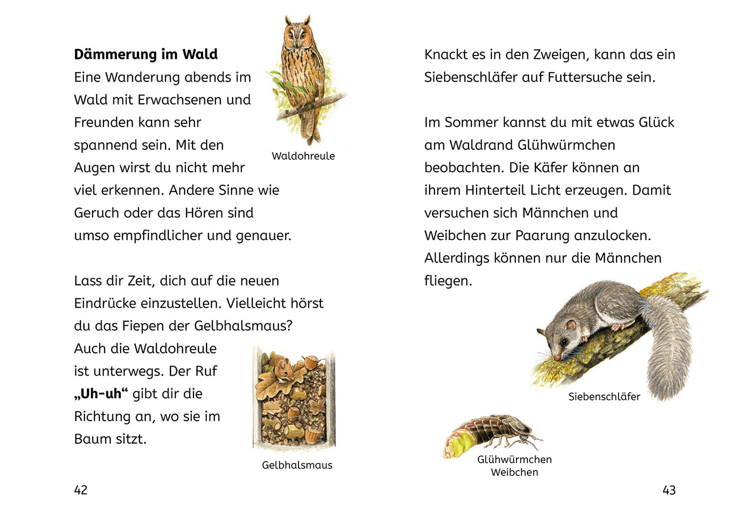 kosmos-b-cherhelden-lesen-lernen-mit-naturr-tseln-2-klasse image 7