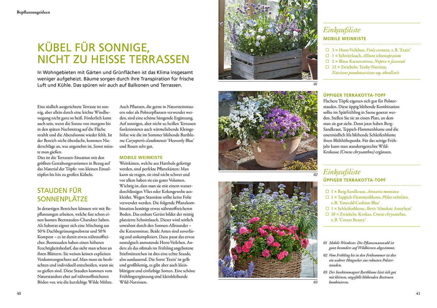 kosmos-wilde-k-bel-gartenbuch-balkon-von-simone-kern image 4