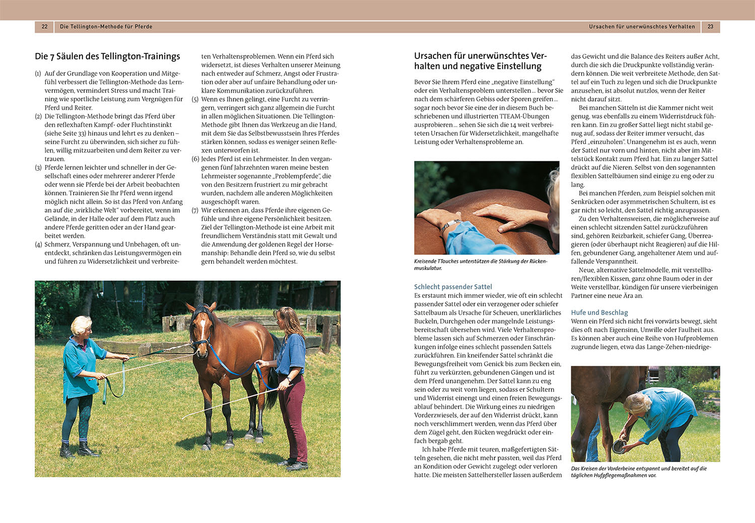 kosmos-tellington-training-f-r-pferde-buch-ttouches image 3
