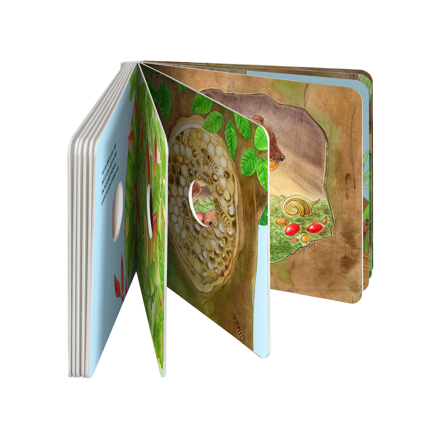 kosmos-guck-mal-wer-da-wohnt-bilderbuch-waldtiere image 4