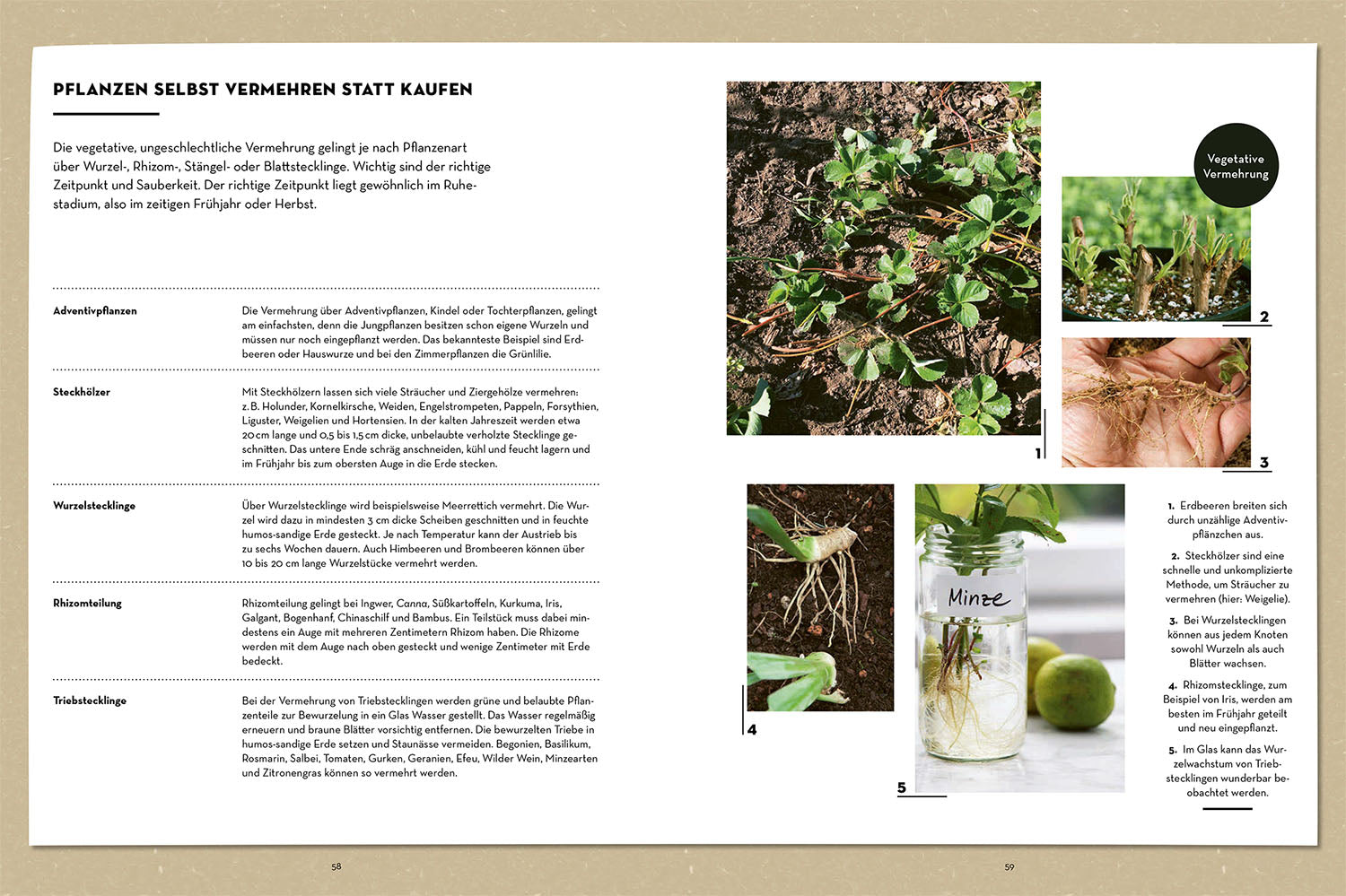 kosmos-wenn-nicht-jetzt-wann-dann-gartenbuch-nachhaltig image 5