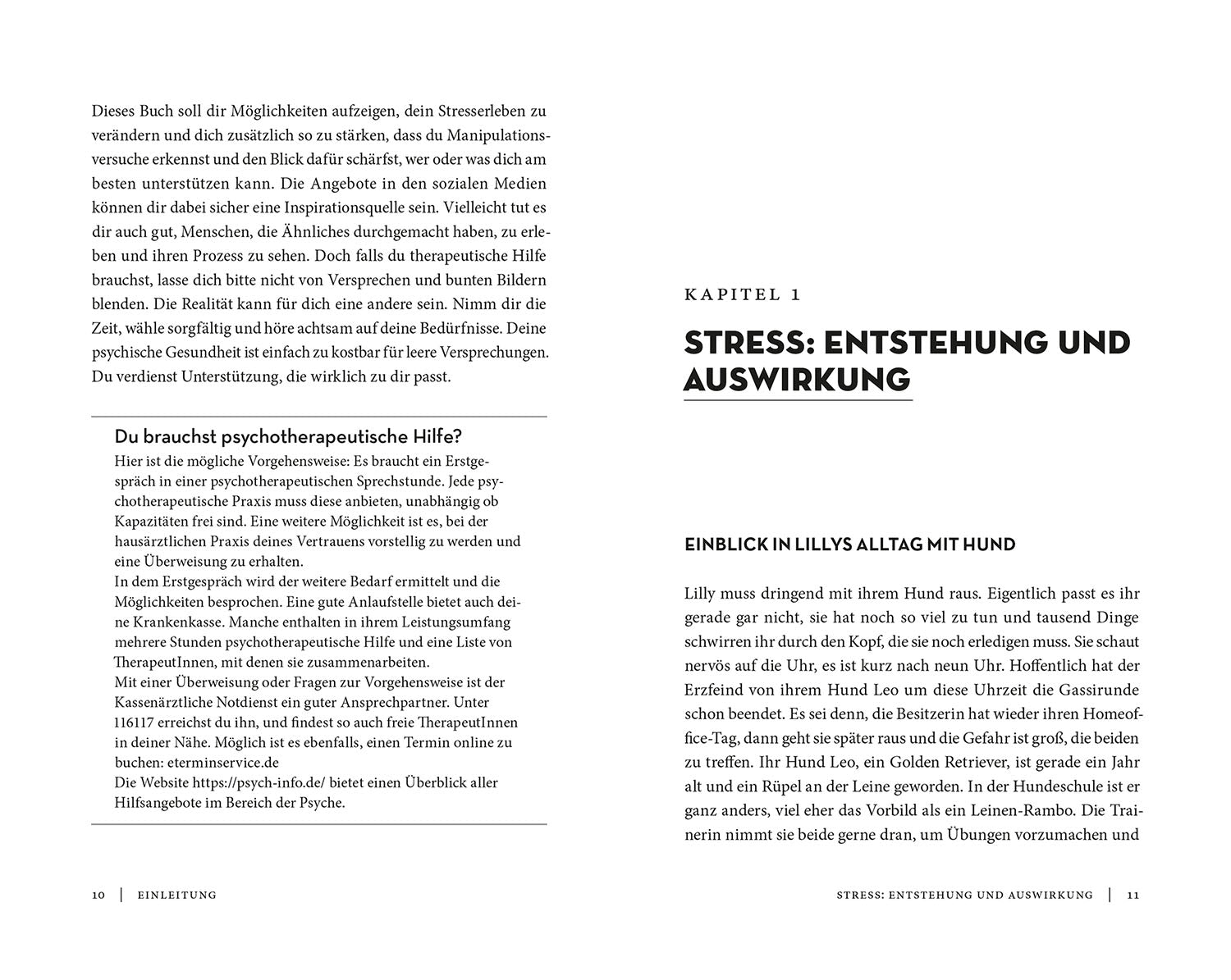 kosmos-lass-die-anderen-reden-buch-resilienz-mit-hund image 3