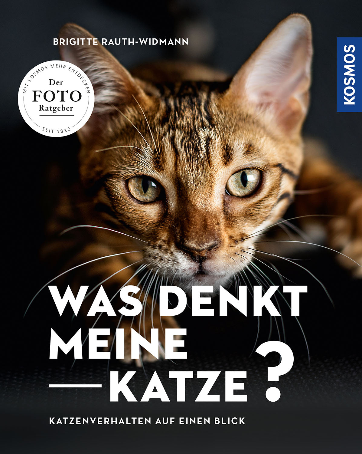kosmos-was-denkt-meine-katze-katzenratgeber-ebook-mimik image 1