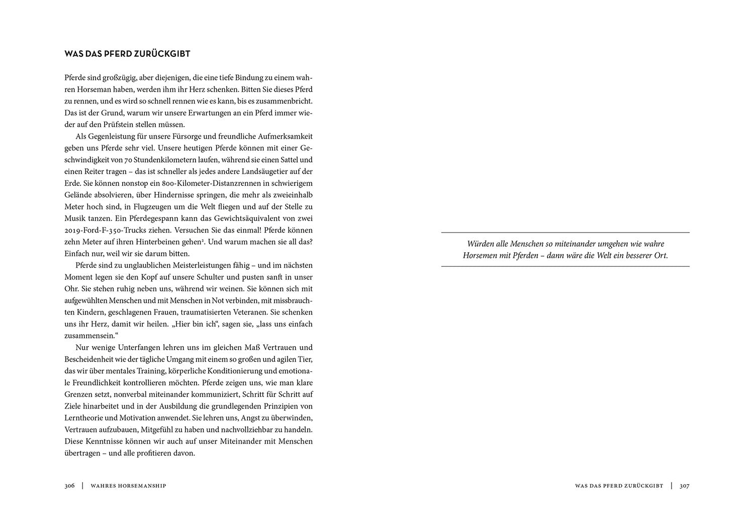 die-zauberkicker-horse-brain-human-brain-buch-pferdegehirn image 6