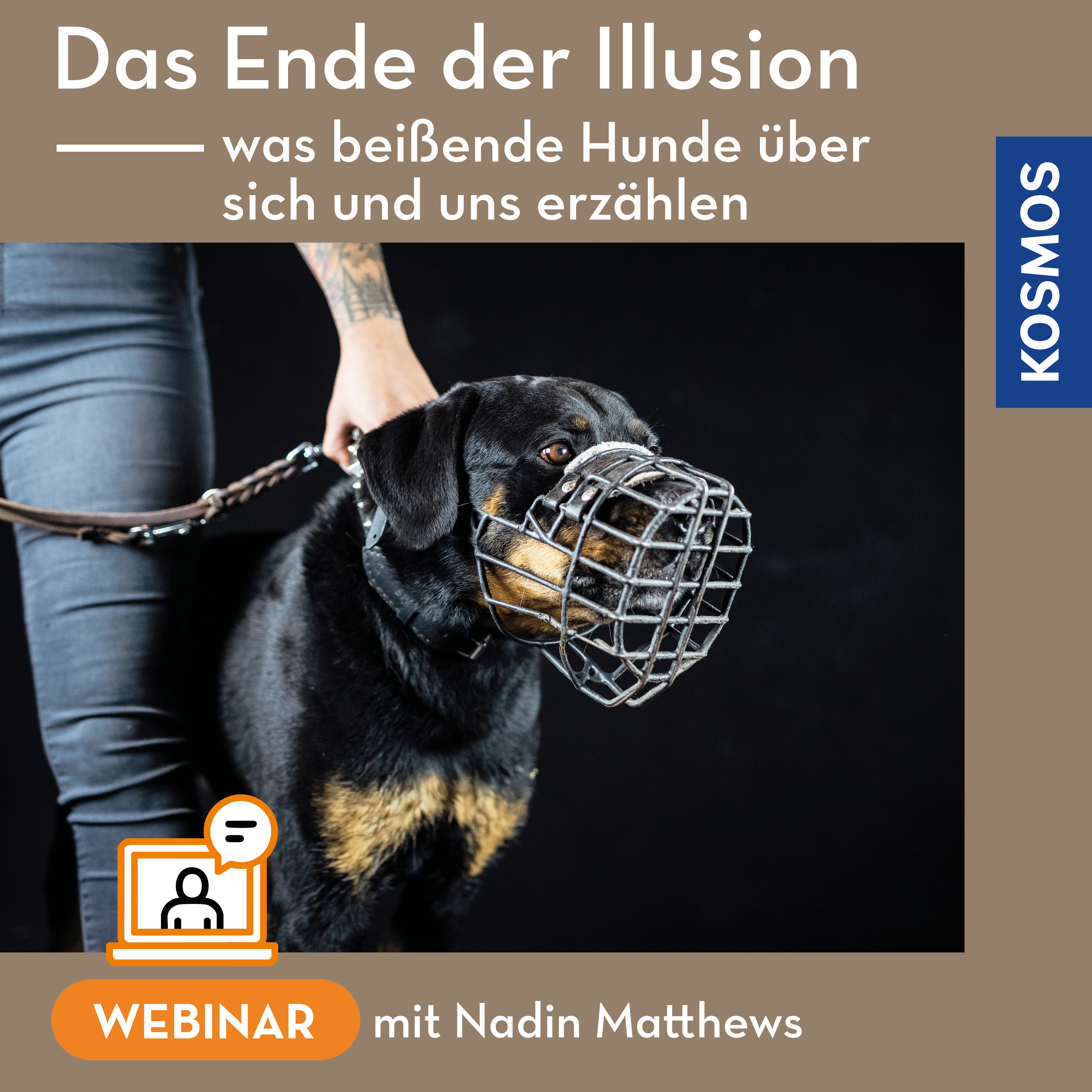 kosmos-das-ende-der-illusion-webinar-bei-ende-hunde-live image 1