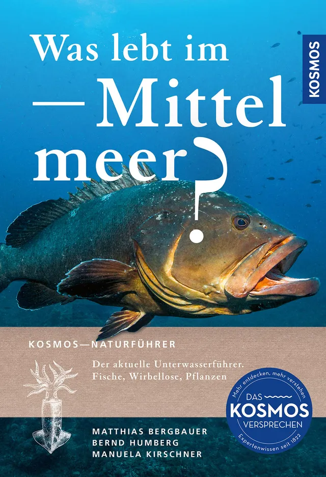 kosmos-was-lebt-im-mittelmeer-ebook-naturf-hrer-400-arten image 1