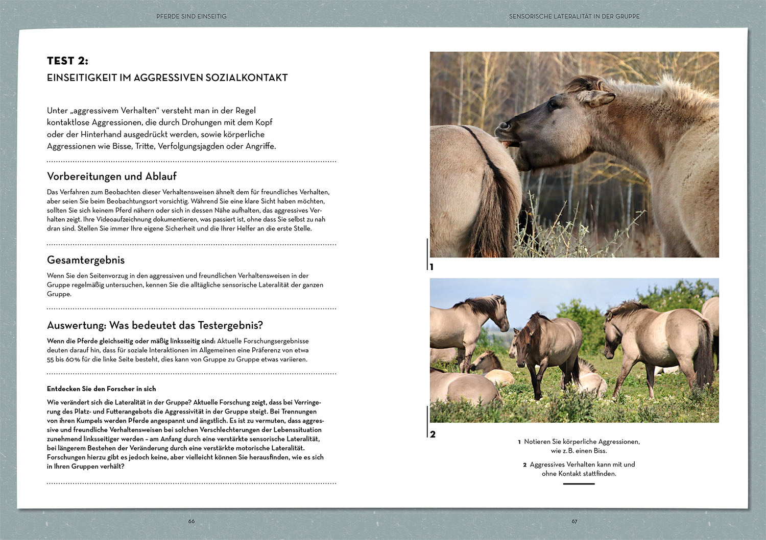 kosmos-lateralit-t-bei-pferden-buch-praxishandbuch-training image 5