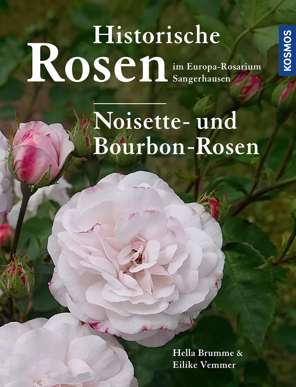 kosmos-historische-rosen-sangerhausen-noisette-bourbon-buch image 1
