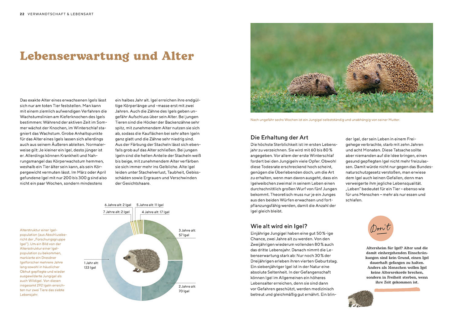 kosmos-igel-im-garten-ratgeber-neumeier-lebensraum-diy-hilfe image 4
