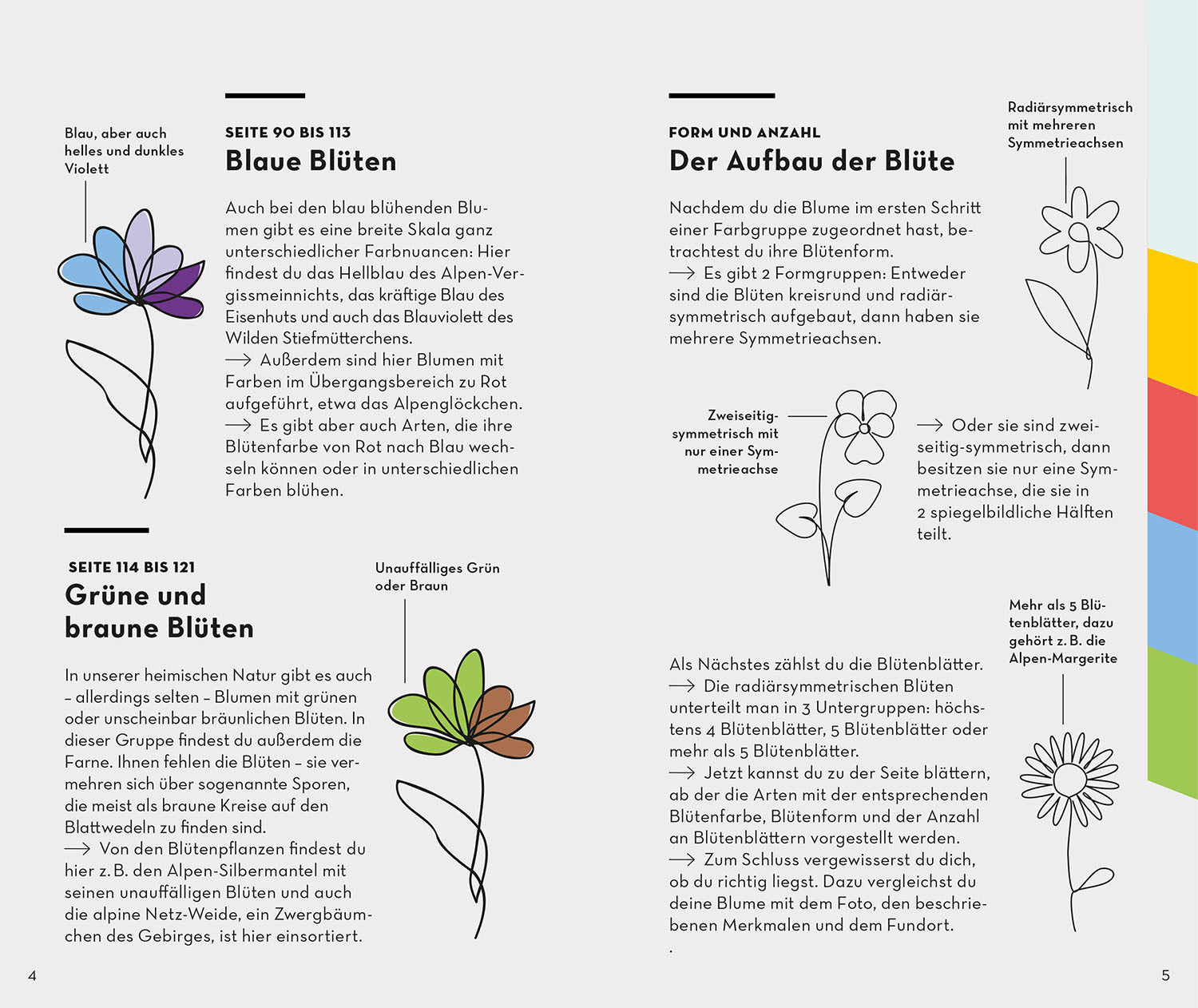 kosmos-basic-alpenblumen-naturf-hrer-taschenformat image 3