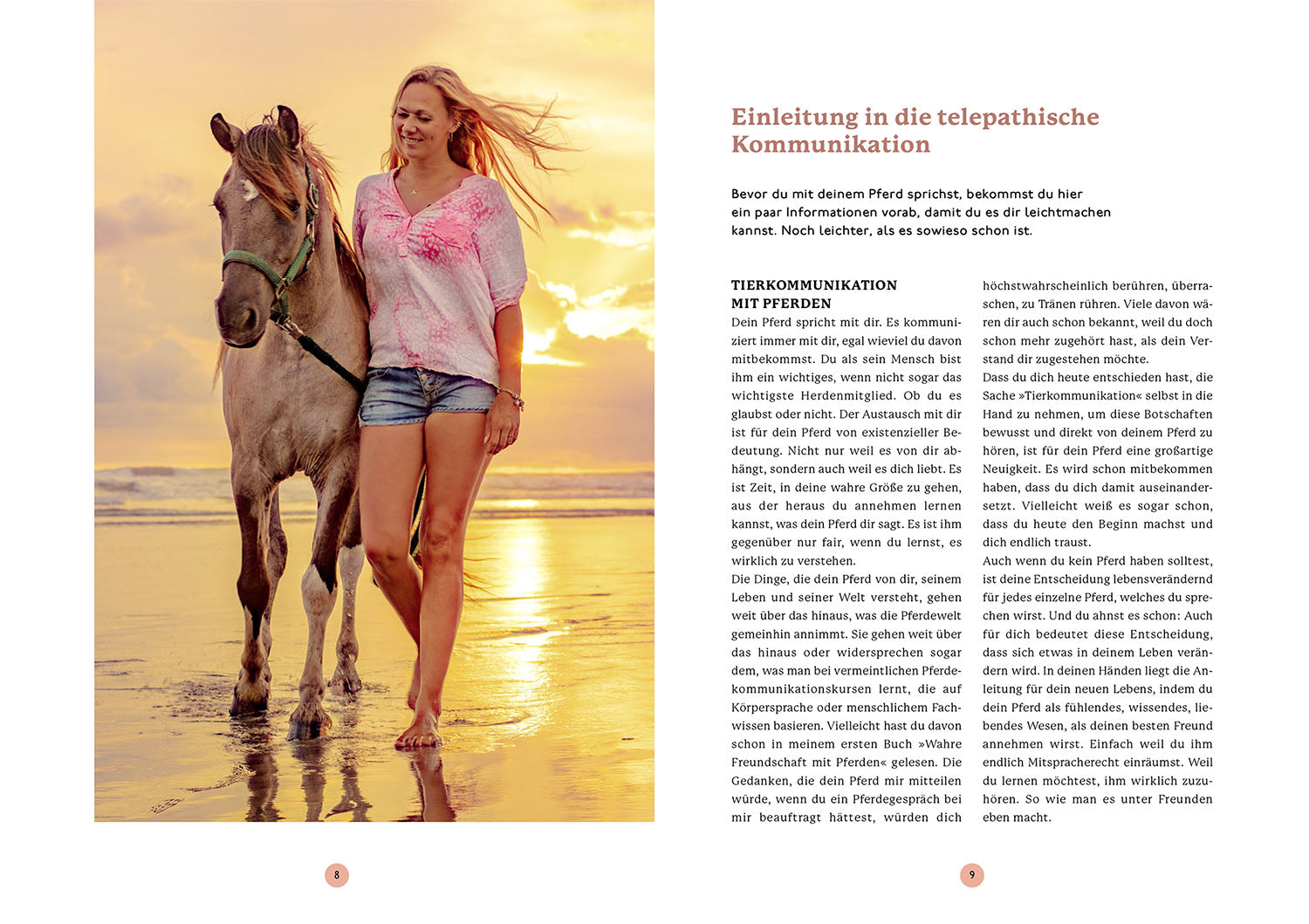 die-zauberkicker-gespr-che-mit-deinem-pferd-buch-tierkommunikation image 3