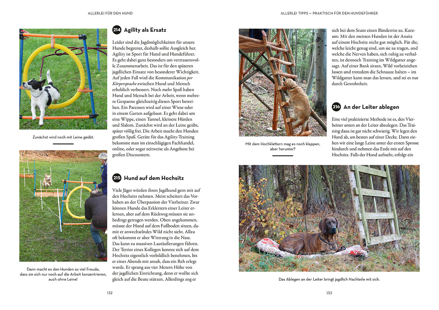 adventure-games-b-cher-tipps-tricks-f-r-hundef-hrer-ratgeber-hund image 6