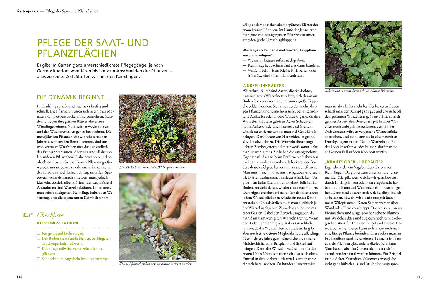 kosmos-der-antiautorit-re-garten-buch-naturgarten-simone-kern image 6