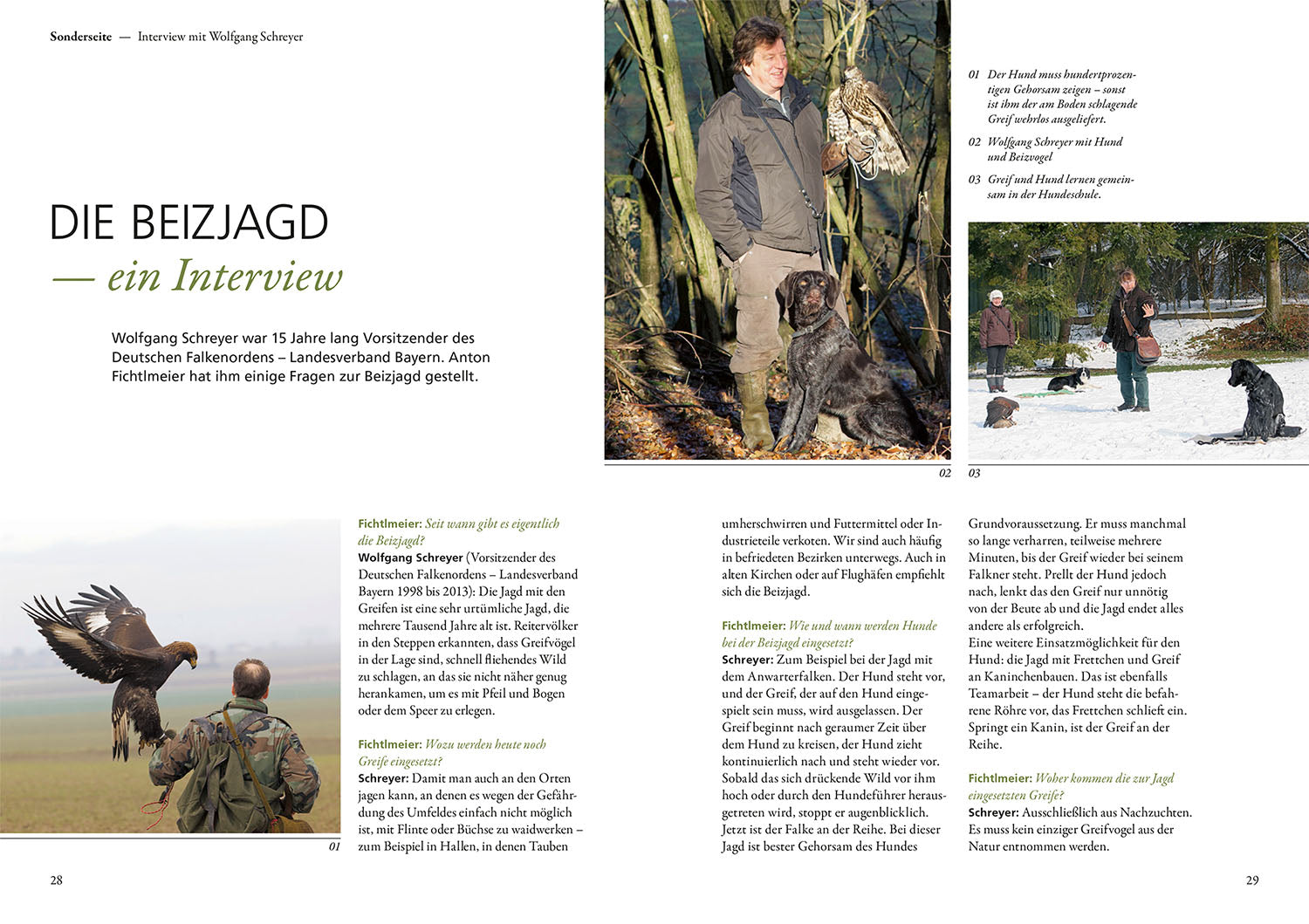 kosmos-die-ausbildung-des-jagdhundes-buch-jagdhund-welpe-junghund image 4