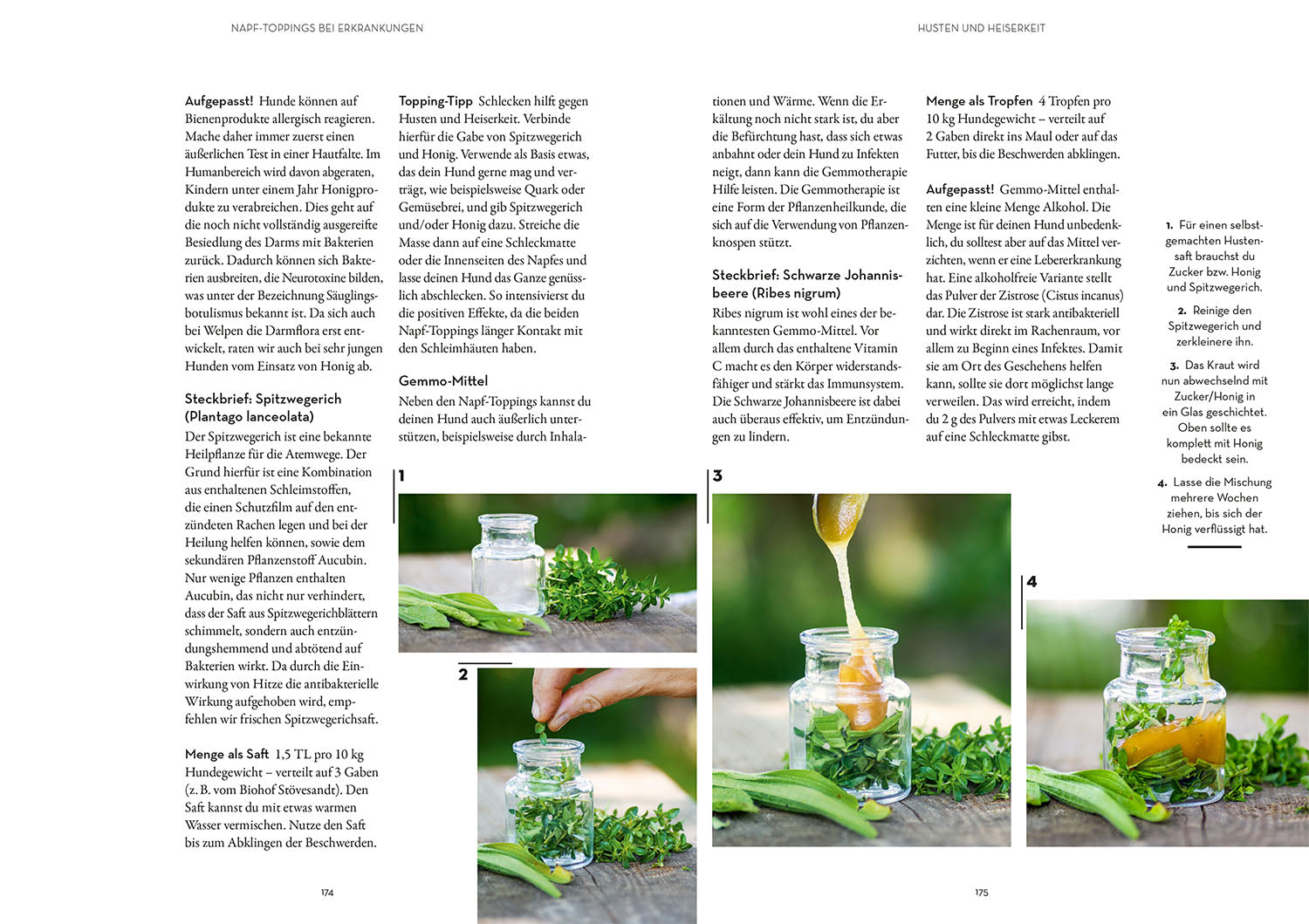 kosmos-napf-ideen-hundebuch-futtererg-nzungen-toppings image 6