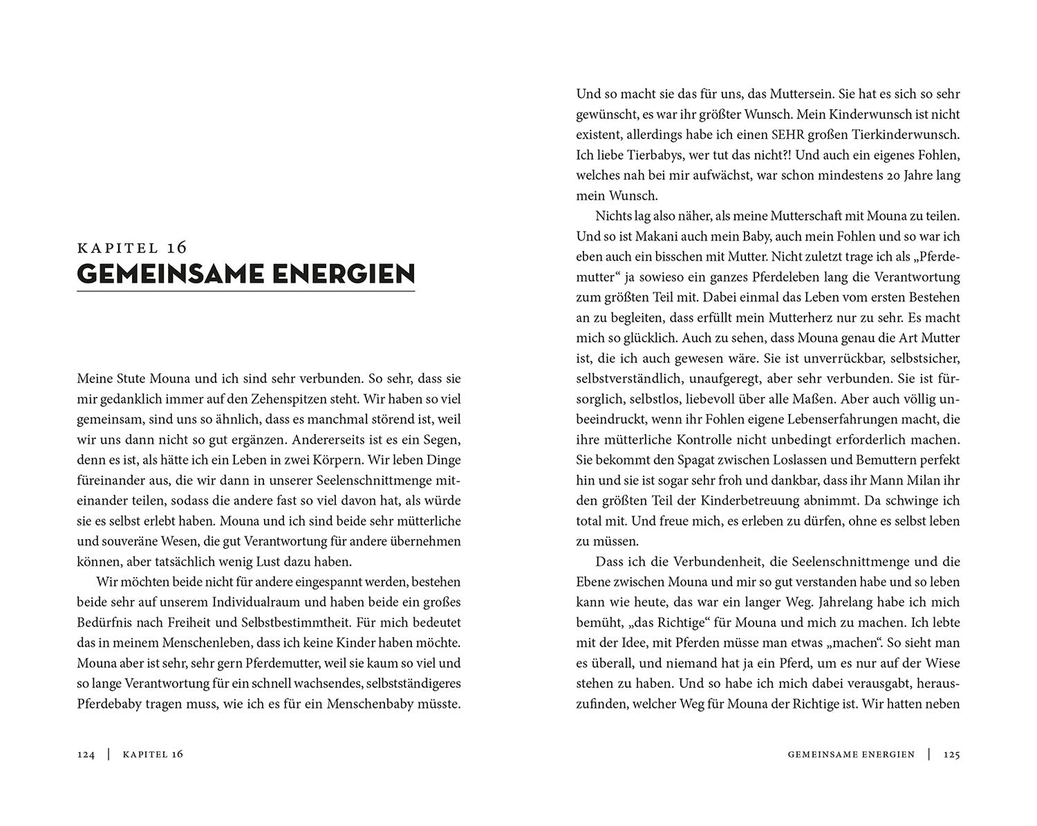 wahre-freundschaft-mit-pferden-catherin-seib-pferdebuch image 5
