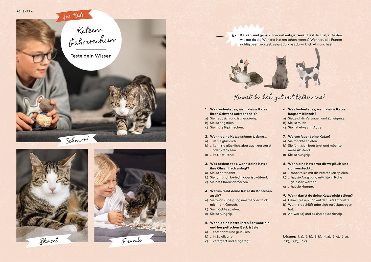 kosmos-katzensprache-buch-katzen-verstehen-ratgeber image 5