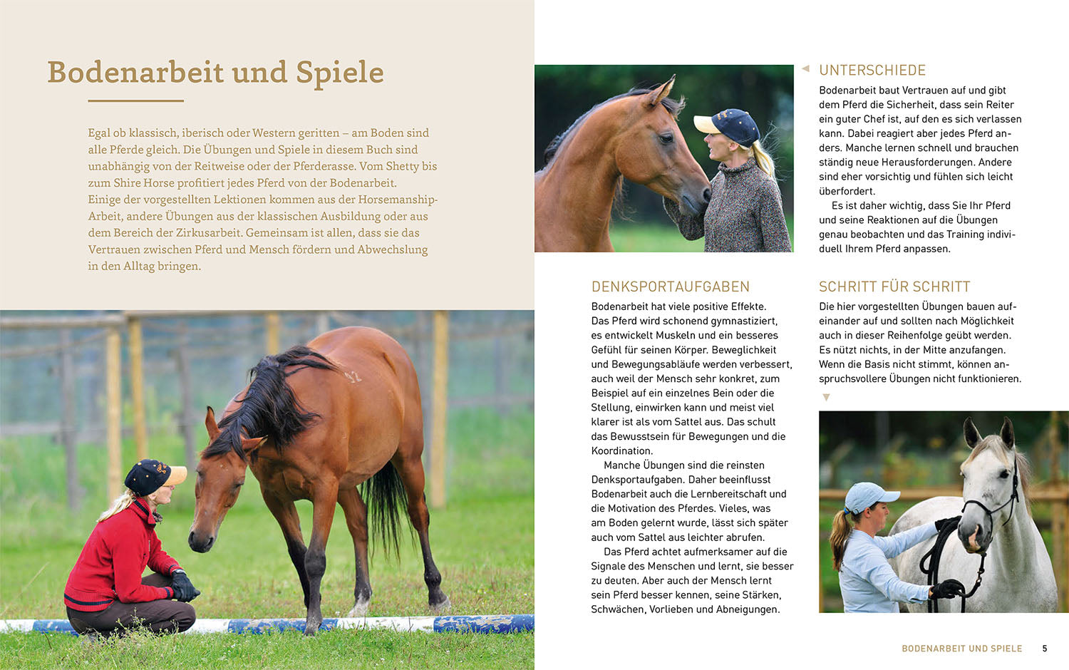 kosmos-bodenarbeit-mit-pferden-ratgeber-pferdetraining-vertrauen image 3
