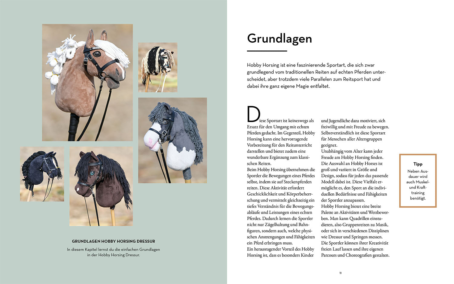 kosmos-hobby-horsing-dressurtraining-ratgeber-bahnfiguren-fotos image 3