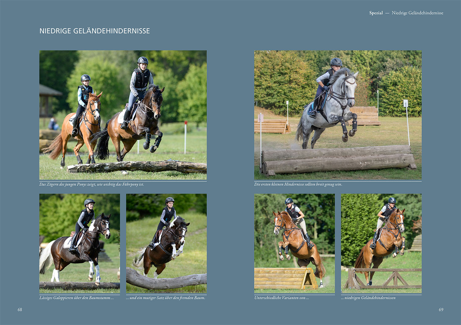 kosmos-reiten-im-gel-nde-ingrid-klimke-reitbuch image 5