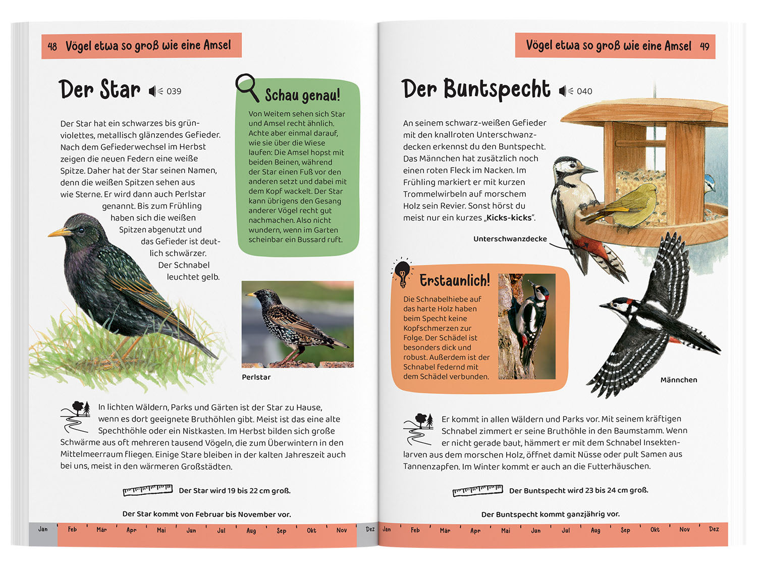 kosmos-was-fliegt-denn-da-kindernaturf-hrer-v-gel image 3