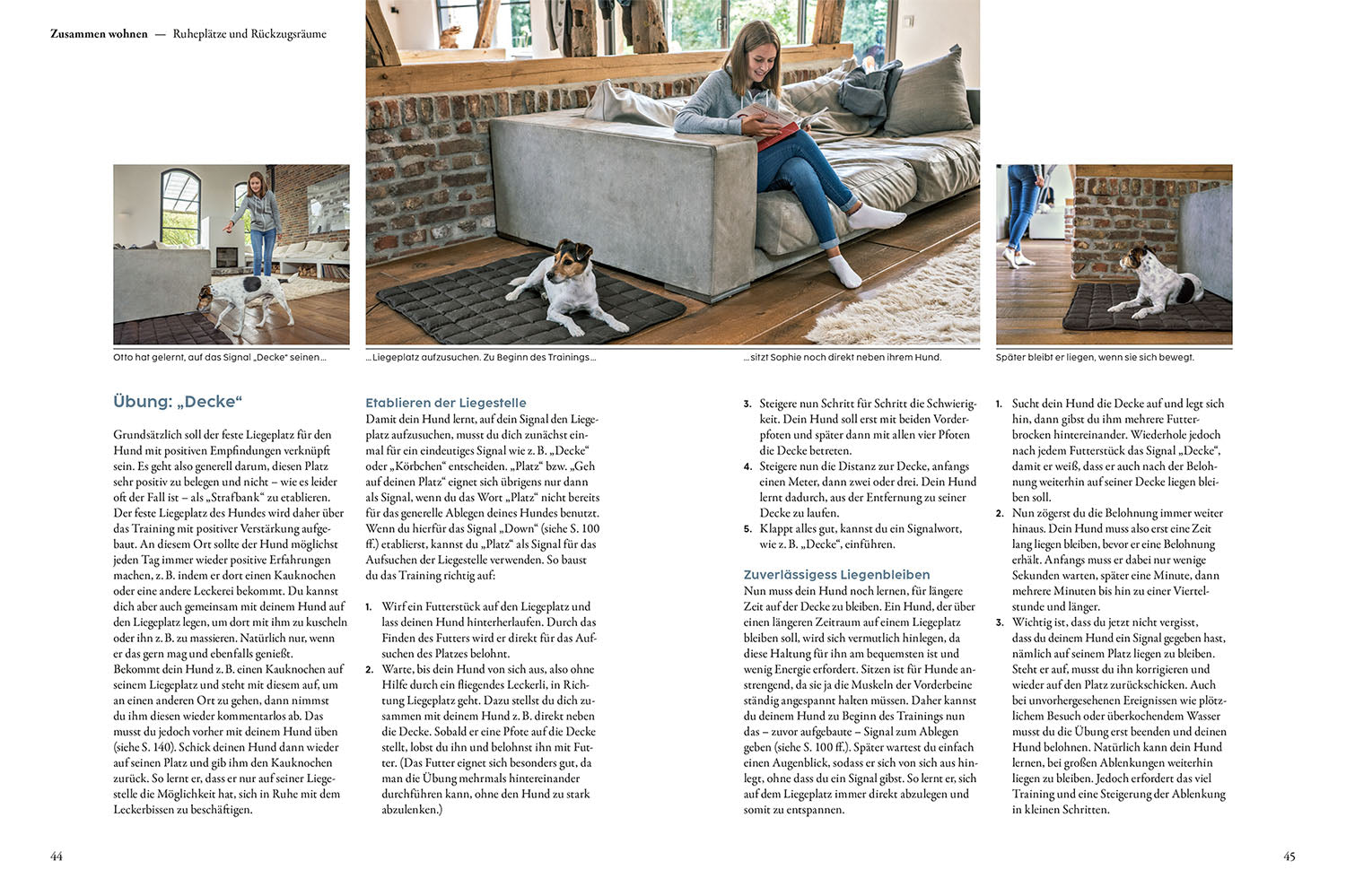 kosmos-hundetraining-mit-martin-r-tter-hunde-ratgeber-buch image 4