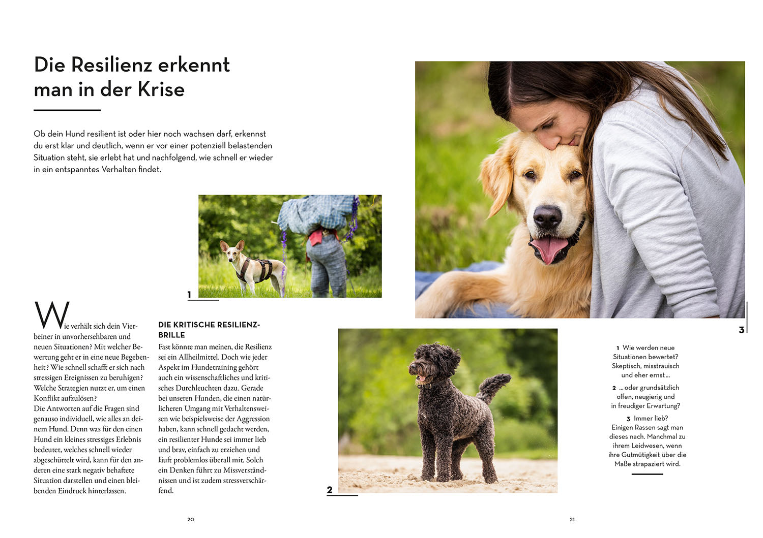 kosmos-resilienz-bei-hunden-vanessa-engelst-dter-ratgeber-buch image 4