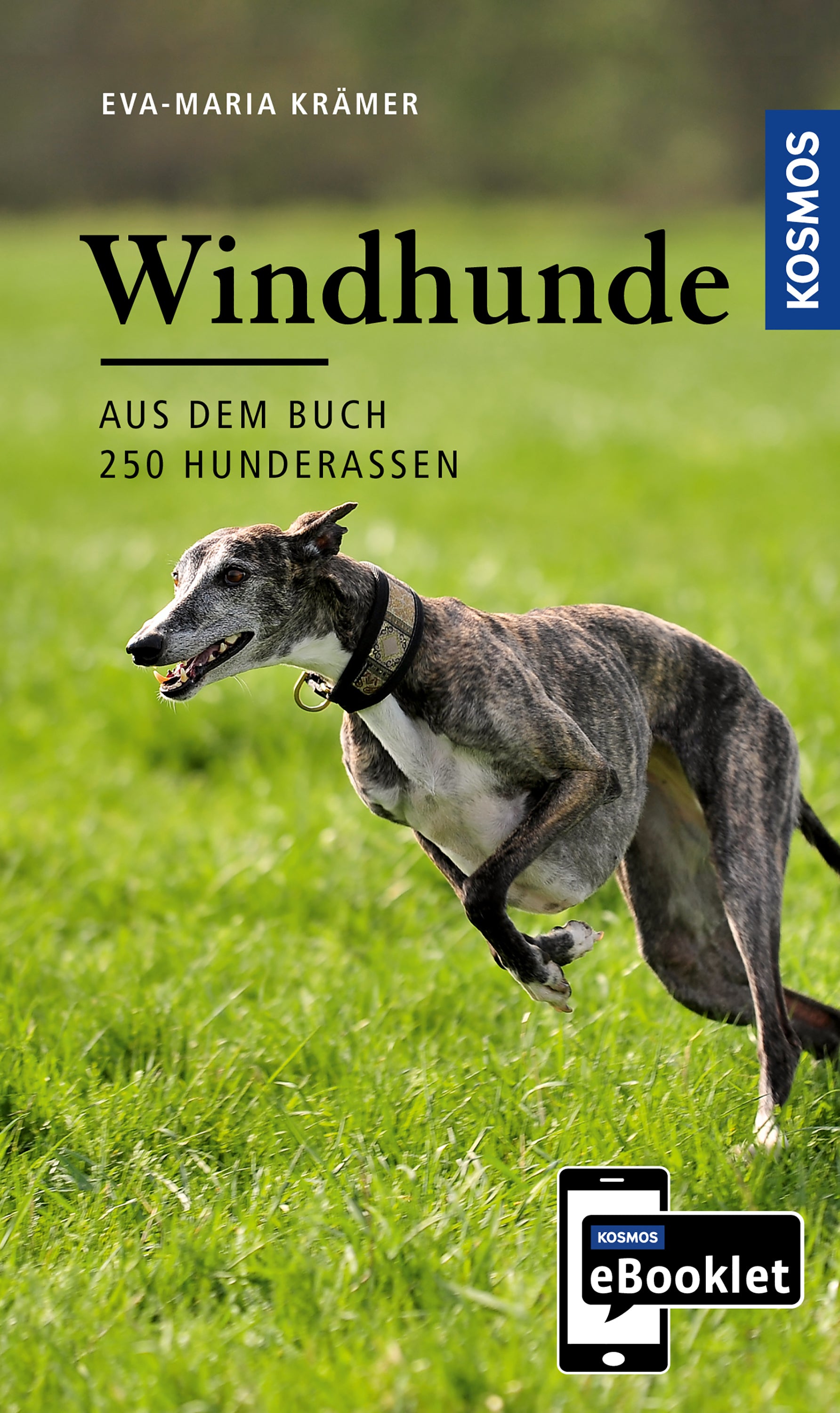 kosmos-windhunde-ebooklet-ursprung-wesen-haltung image 1