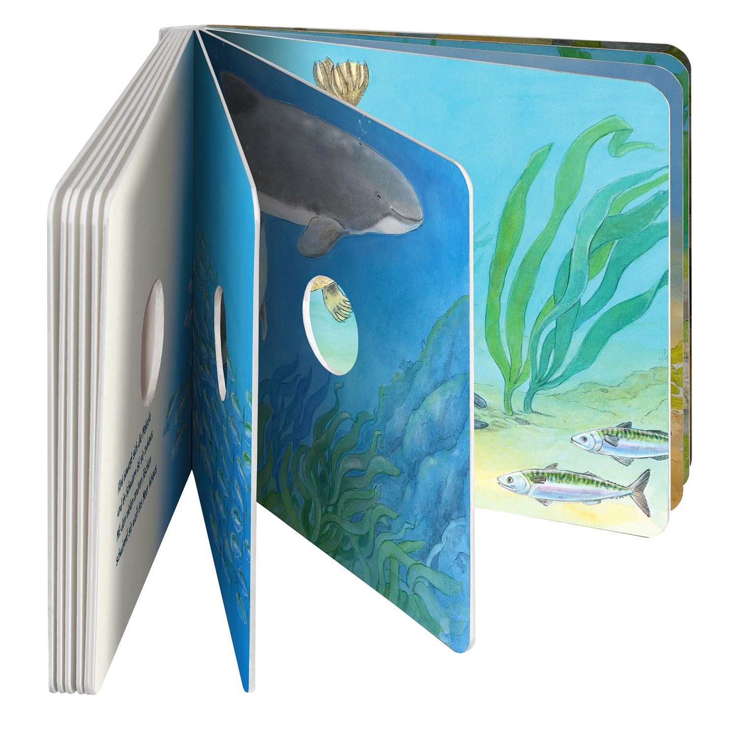 kosmos-guck-mal-tief-ins-meer-lochbuch-meerestiere image 5