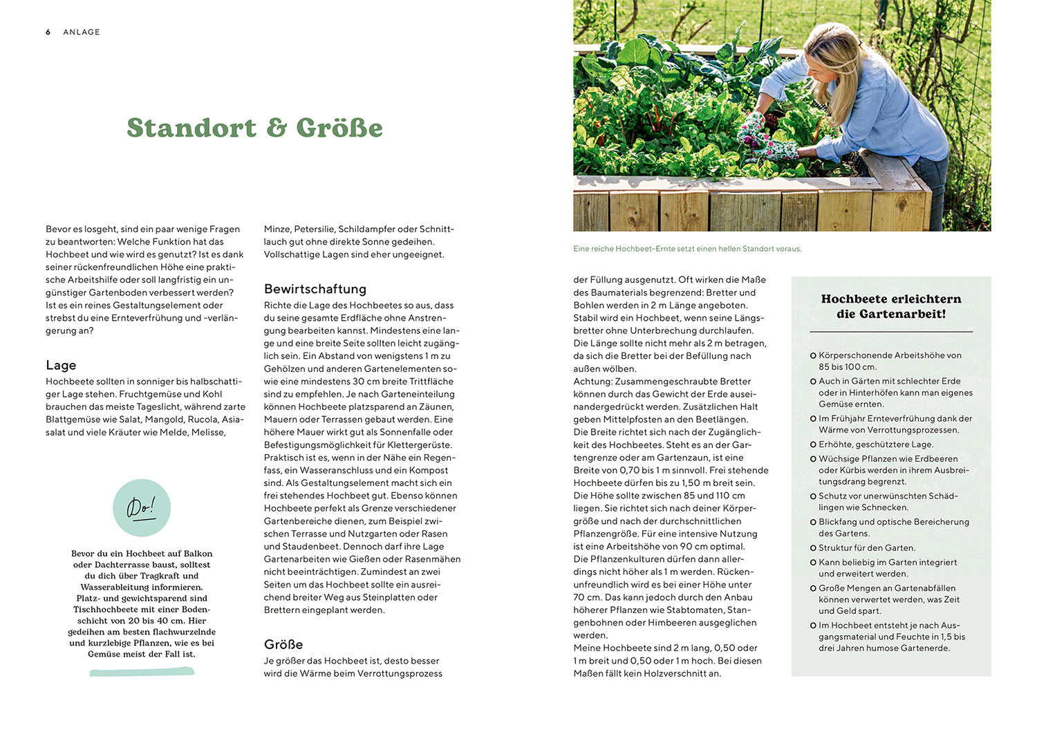 kosmos-hochbeete-melanie-grabner-buch-musterbeete-ernte image 3