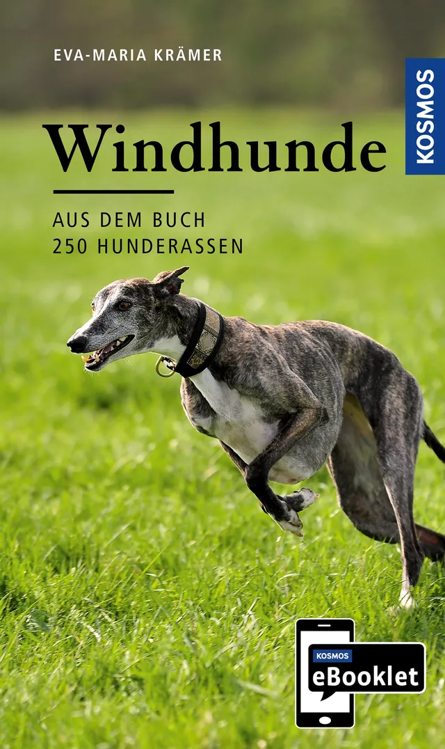 kosmos-windhunde-ursprung-wesen-haltung-ebooklet-ratgeber image 1