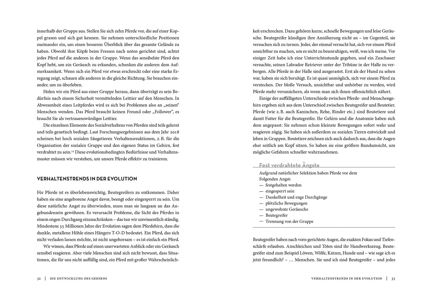 die-zauberkicker-horse-brain-human-brain-buch-pferdegehirn image 4