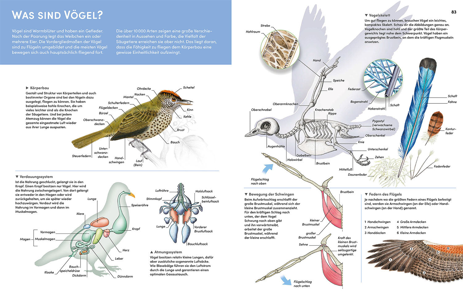 kosmos-der-gro-e-kosmos-tieratlas-buch-tiere-der-welt-gro-format image 4