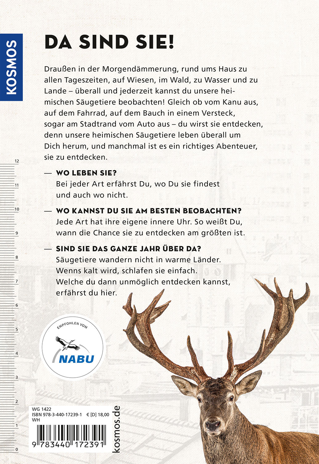 kosmos-die-siehst-du-naturf-hrer-s-ugetiere-buch image 2