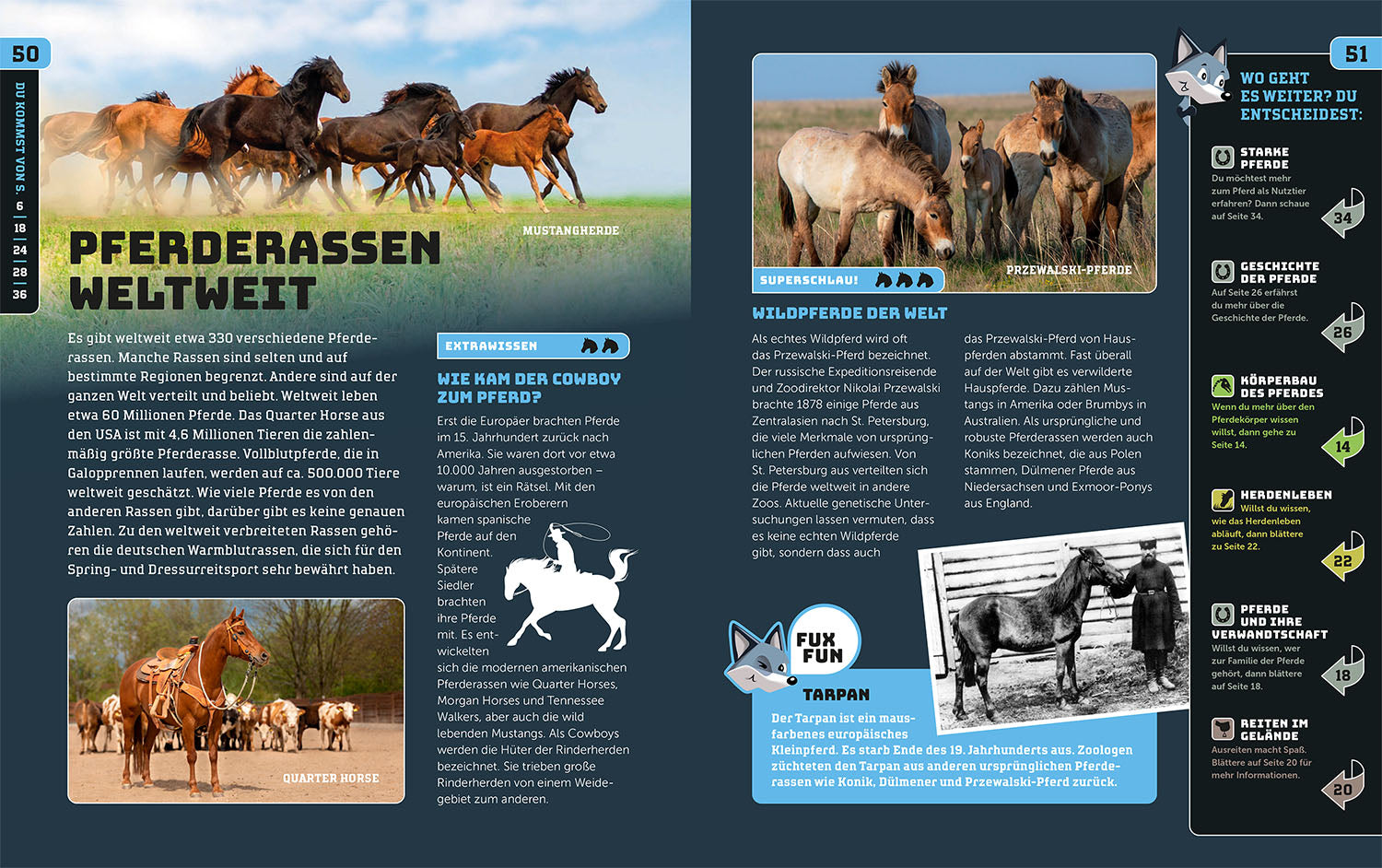 kosmos-schlaufux-pferde-und-ponys-kinder-sachbuch-interaktiv image 6