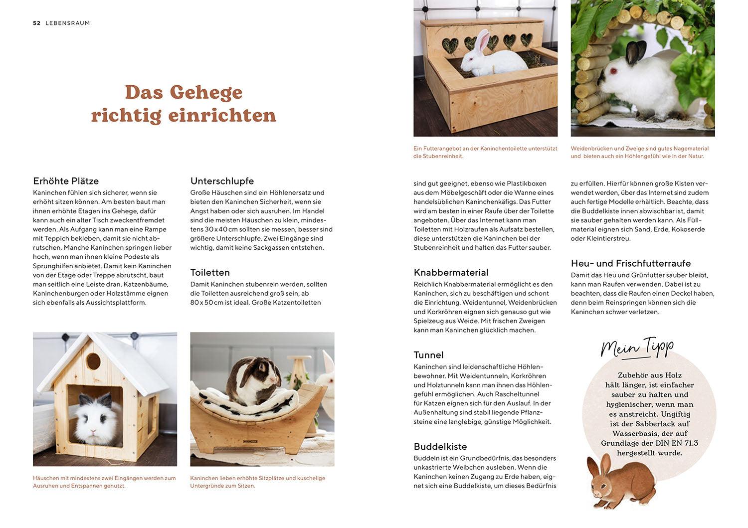 zwergkaninchen-ratgeber-haltung-gehege-ern-hrung-buch image 5