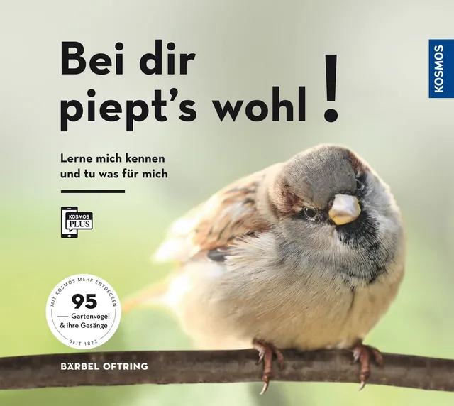 b-rbel-oftring-bei-dir-piept-s-wohl-vogelbuch-95-arten image 1