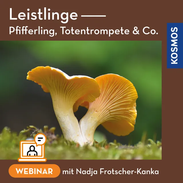 kosmos-leistlinge-webinar-pfifferling-totentrompete-live-webinar image 1