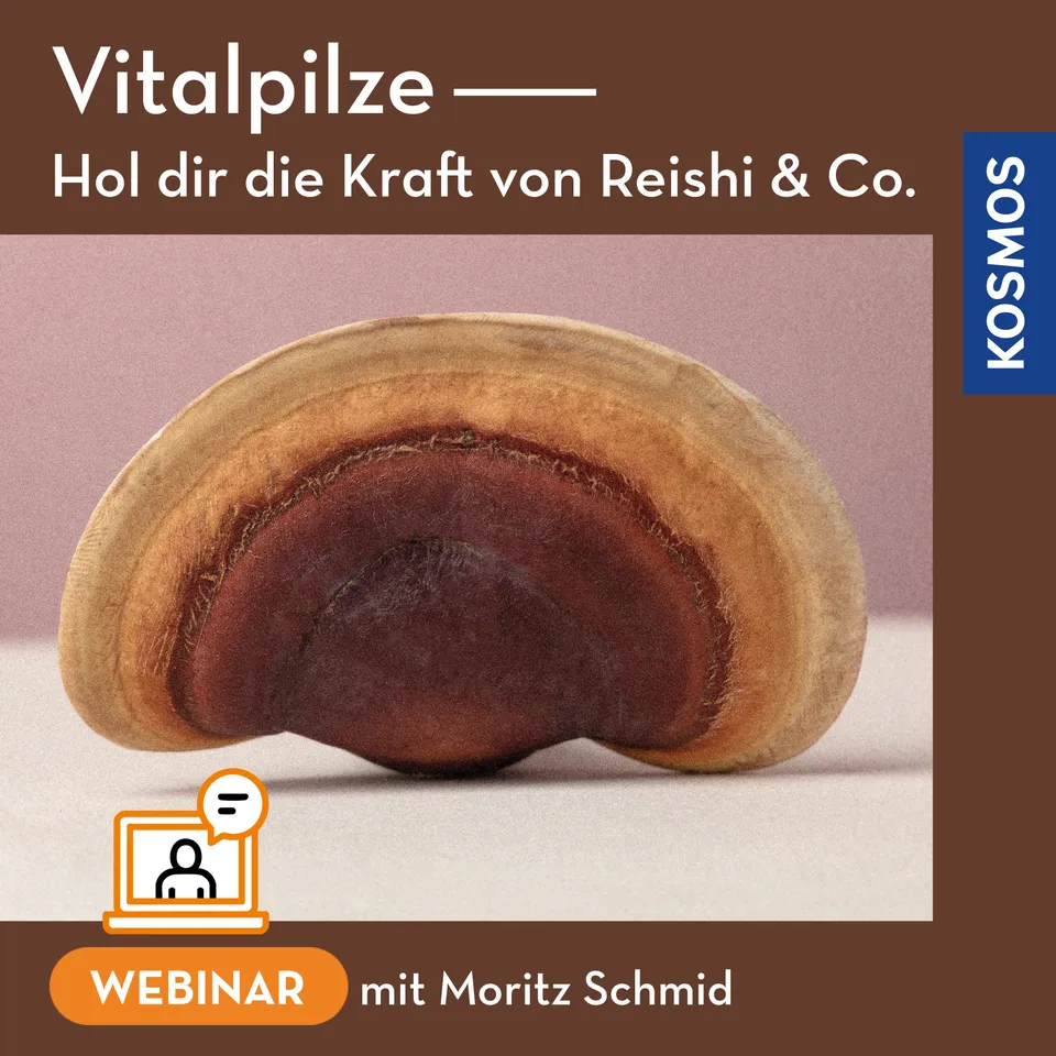 vitalpilze-reishi-co-webinar-live-webinar-heilpilze image 1