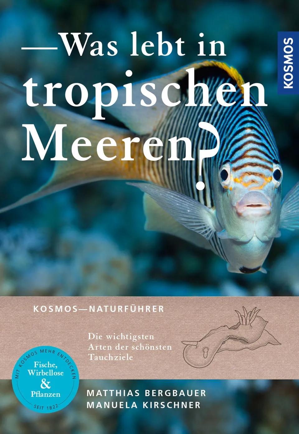 kosmos-was-lebt-in-tropischen-meeren-ebook-tauchf-hrer image 1