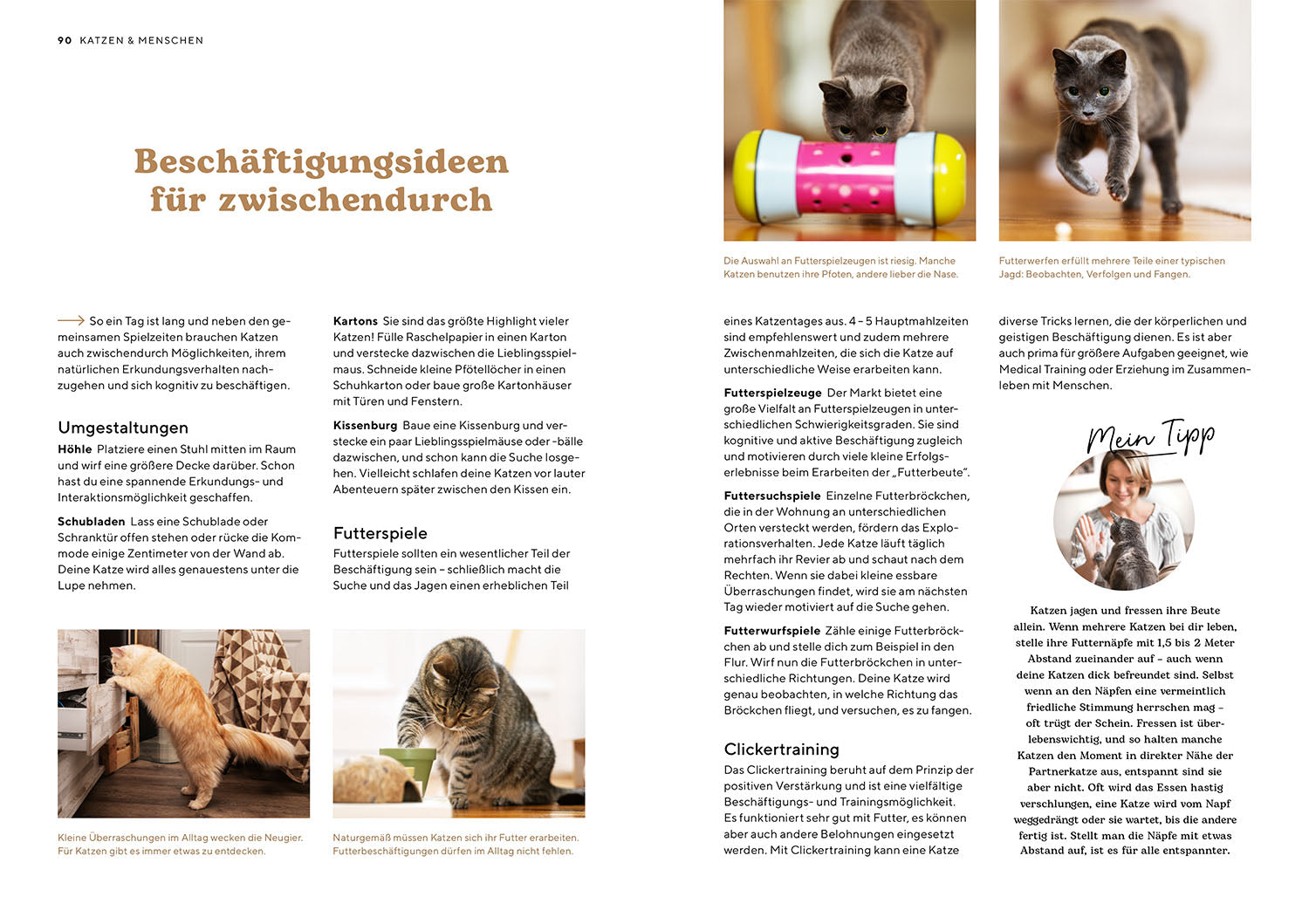 kosmos-katzensprache-buch-katzen-verstehen-ratgeber image 6