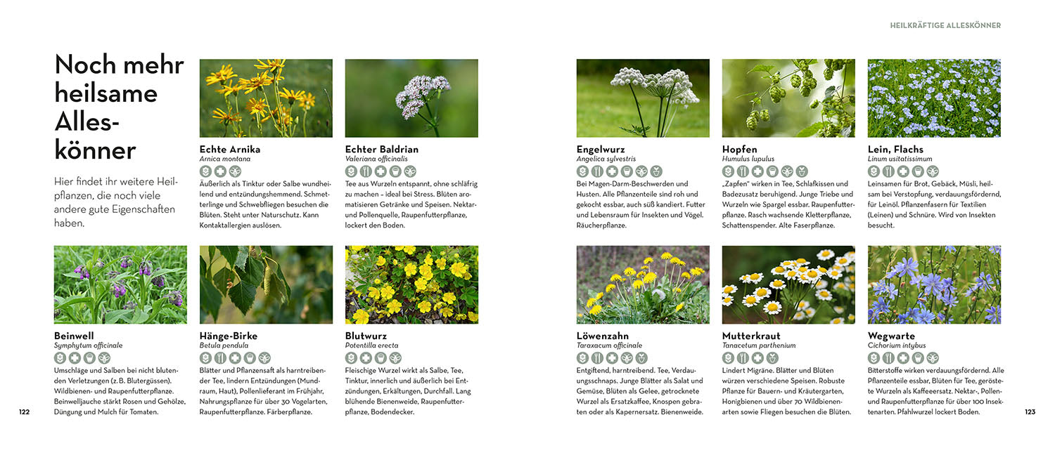 kosmos-allesk-nner-im-garten-buch-nutzpflanzen image 6