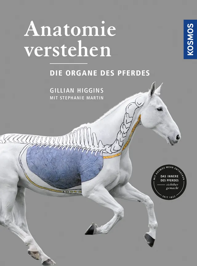adventure-games-b-cher-anatomie-verstehen-die-organe-des-pferdes-ratgeber image 1