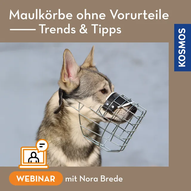 kosmos-maulk-rbe-ohne-vorurteile-webinar-live-webinar image 1