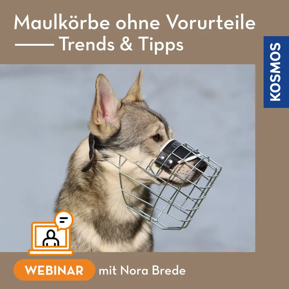 maulk-rbe-ohne-vorurteile-webinar-live-webinar-hund image 1