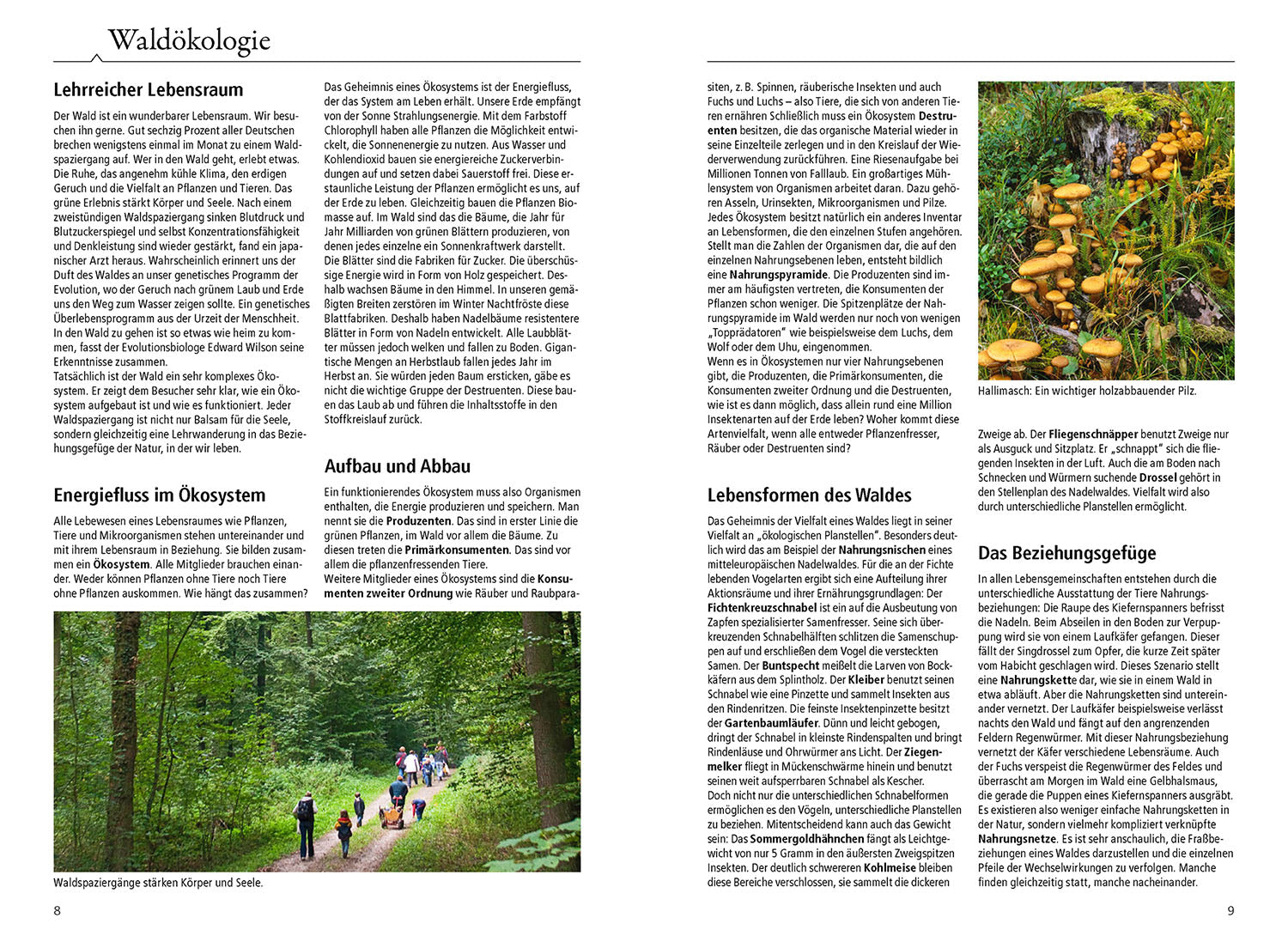 kosmos-waldf-hrer-bestimmungsbuch-pflanzen-tiere-pilze image 3