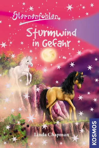 die-zauberkicker-sternenfohlen-15-sturmwind-in-gefahr-ebook image 1