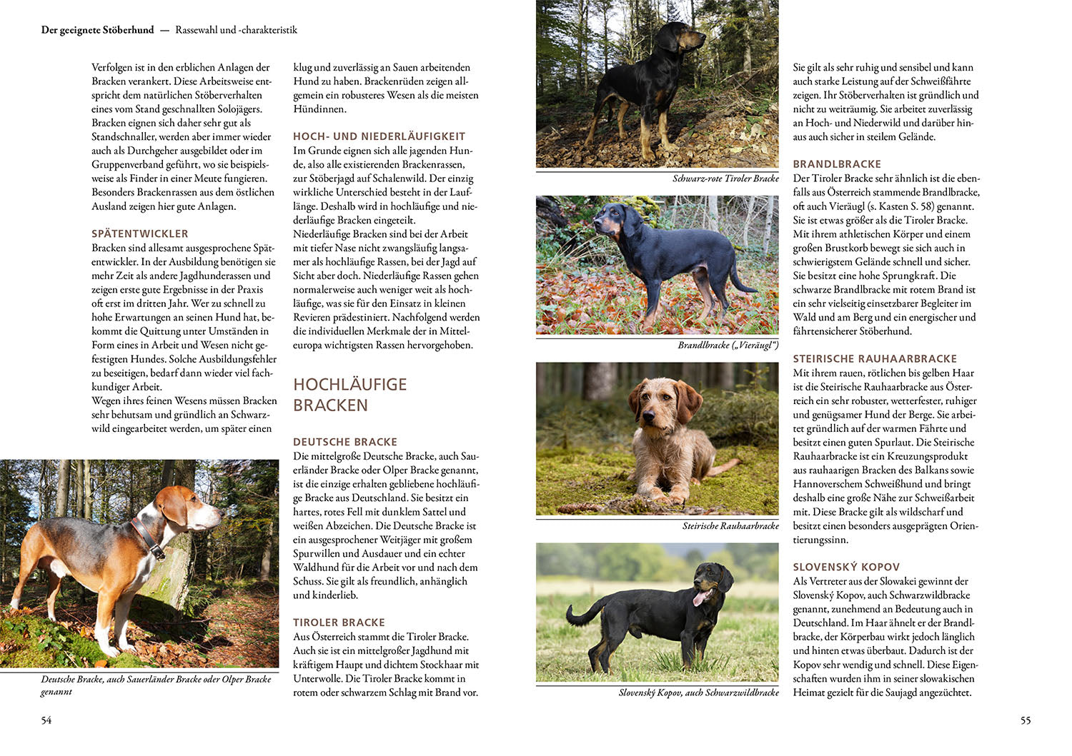 die-zauberkicker-jagen-mit-st-berhunden-praxisbuch-jagd image 4