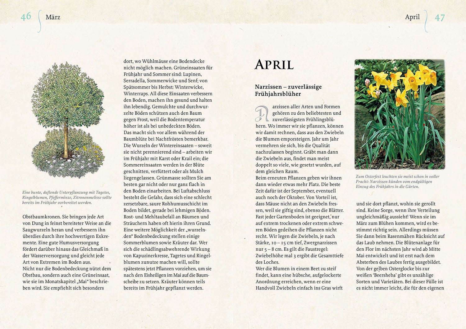 geheimnisse-aus-dem-klostergarten-bio-gartenbuch-christa-weinrich image 4